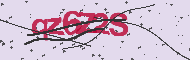 Captcha認証コード
